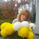 Фотография "Дарите женщинам цветы!!!  Пусть это будет самая тяжёлая ноша в их жизни!!!! "