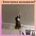 Фотография от юрий суханов