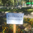 Фотография "Это нельзя делать в фонтанах "немецкой слободы"!!!"