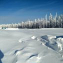 Фотография от Сергей Провоторов