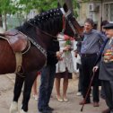 Фотография от Ведущая Елена Владимирская