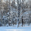 Фотография от Людмила Степанова (Николаева)