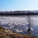 Фотография от Евгений Сарычев