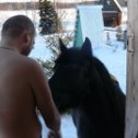 Фотография "Валдай. 30 градусов мороза.Чудо природы - лошади."