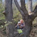 Фотография "У Лукоморья дуб высокий , на дубе том я и внучёк"