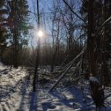 Фотография от Алексей Свирилин