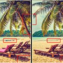 Фотография "Найди еще 4 отличия: https://ok.ru/game/find-online?referer=album_post&tid=620878324"