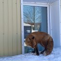 Фотография от Геннадий Смехов