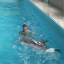 Фотография "дельфин и русалка"