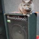 Фотография "Tyson. The cat living in music studio. Likes hard rock and metal music."