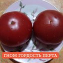 Фотография от Ольга Пальчикова