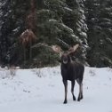 Фотография от Дмитрий Невмержитский