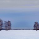 Фотография от Сергей Табатчиков