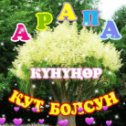 Фотография от Абуали Абдусамат уулу