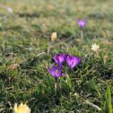Фотография "А тем временем, в Краснодаре, настоящая весна 🤗🤗🤗"