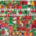 Фотография от Торговый центр Мир (8-960-962-30-17)