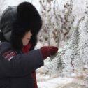 Фотография "Знакомство со снегом"