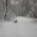 Фотография от Валерий Лапшин