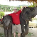 Фотография "В Тайланде даже слоны доброжелательны. 20 руб. бананы и ты друг."