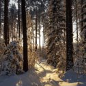 Фотография от Александр Македонский