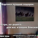 Фотография от андрей хорошилов