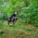 Фотография от конные прогулки НатальяРешетникова