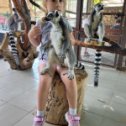 Фотография "Внучка в зоопарке в Бахчисарае с лемурами "