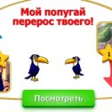 Фотография "Виктория, мой попугая перерос твоего. Попробуй догони! http://www.ok.ru/game/1142001664"