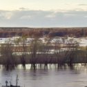 Фотография от Владимир Андрианов