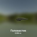 Фотография "https://ok.ru/game/trophyfishing2?241703 Головастик, Бесхвостые земноводные, 0.004kg, Дунай, Озеро Аммер, TF-1z, Тесто.  #Головастик #Бесхвостые земноводные #Дунай #Озеро Аммер #Тесто #trophy #fishing #fish #трофейная #рыбалка #рыба"