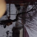 Фотография "Пикенесики мои котейку загнали на дерево..."