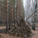 Фотография "Вигвам между сосен и берёз."