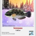 Фотография "Мой улов в игре Зимняя Рыбалка 2: На дальних берегах! http://ok.ru/game/1131692800"