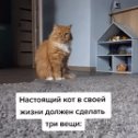 Фотография от максим федькин