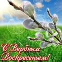 Фотография от Вовчик ㅤㅤㅤㅤㅤ ㅤㅤ ㅤ ㅤㅤ