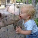 Фотография "Мама всё время говорила.что мой папа свинья...Здравствуй папа!!!..."