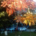 Фотография "#Осень#"