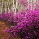 Фотография от Наталья Васильева (Останина)