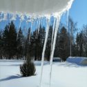 Фотография ""Чем же все это окончится? Будет апрель. Будет апрель, вы в этом уверены? Да, я уверен. Я уже слышал, и слух этот мною проверен, Будто бы в роще сегодня звенела свирель...""