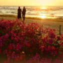 Фотография "Лето, море, солнце, закат, цветы, любовь..."