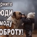 Фотография от (◔̯◔ღ МеРиЛиНღ ツ Забей Будь сильней