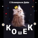 Фотография от АНГЕЛ СОЛНЦА КотятаРЫСЯТА