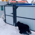 Фотография от ❄ Ҝɋϯеԋьҟа ❄