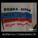 Фотография "Все на выборы!"