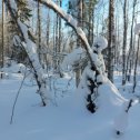 Фотография от Светлана Акшаева (Вологдина)