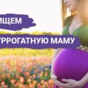 Фотография от Ищем Суррогатную Мамочку