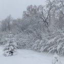 Фотография от Тамара Струняшева