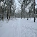 Фотография от Сергей Скурлатов