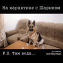 Фотография от Кирилл Харитонов