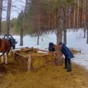 Фотография от роза сайфулина